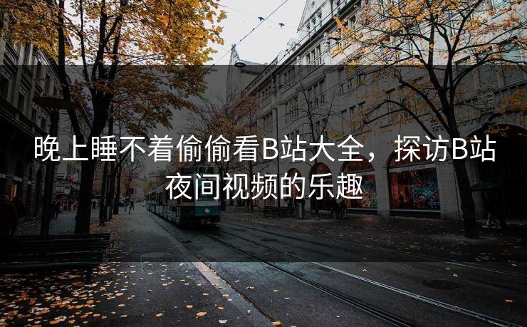 晚上睡不着偷偷看B站大全，探访B站夜间视频的乐趣