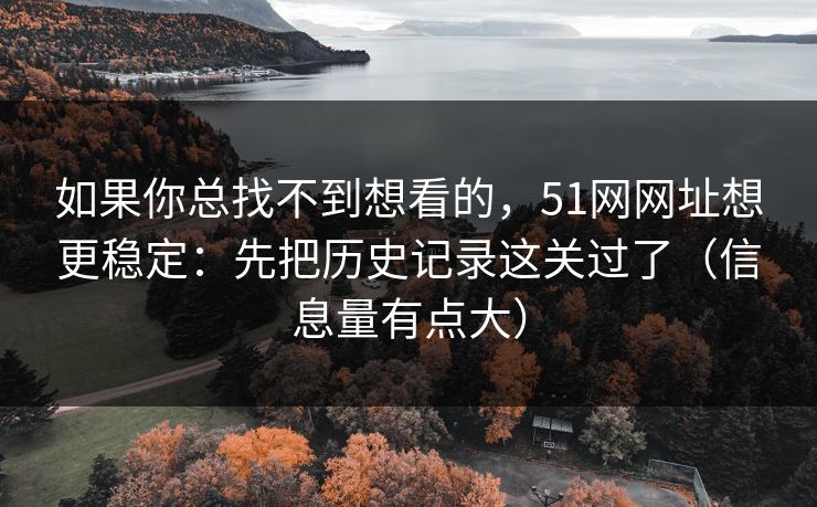 如果你总找不到想看的，51网网址想更稳定：先把历史记录这关过了（信息量有点大）