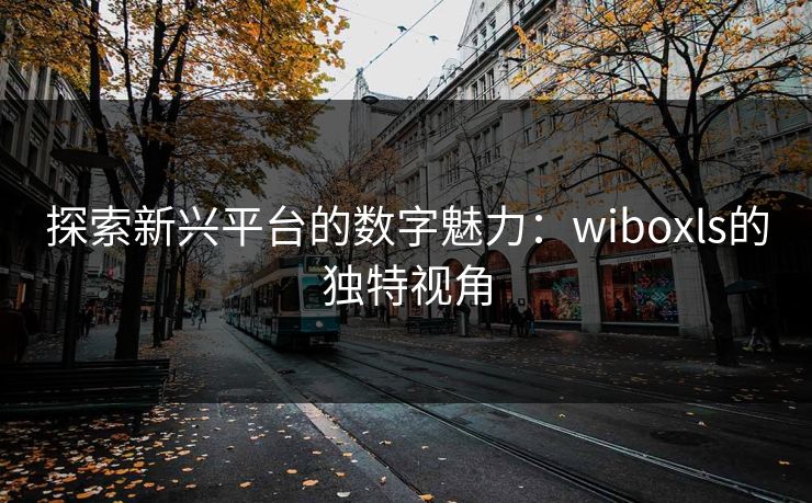 探索新兴平台的数字魅力：wiboxls的独特视角