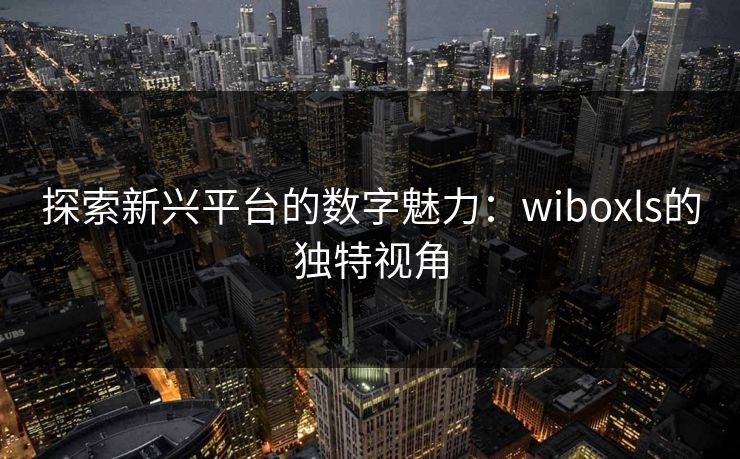 探索新兴平台的数字魅力：wiboxls的独特视角