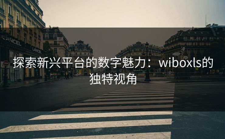 探索新兴平台的数字魅力：wiboxls的独特视角