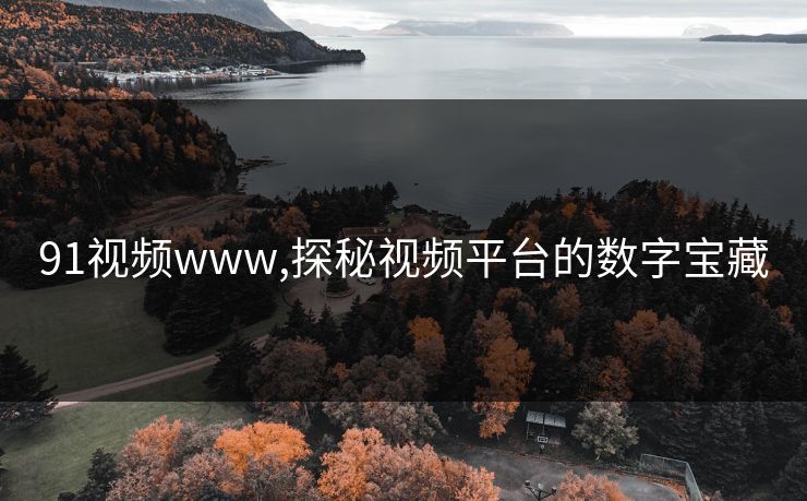 91视频www,探秘视频平台的数字宝藏 91视频www,探秘视频平台的数字宝藏