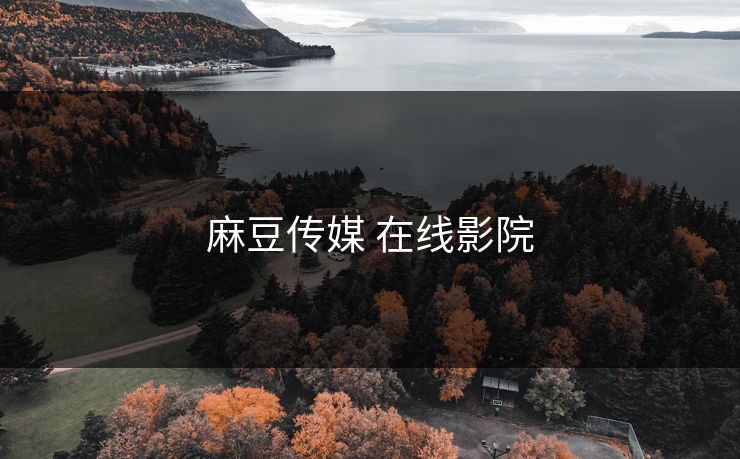 麻豆传媒 在线影院 麻豆传媒 在线影院