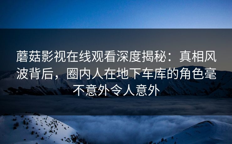 蘑菇影视在线观看深度揭秘：真相风波背后，圈内人在地下车库的角色毫不意外令人意外