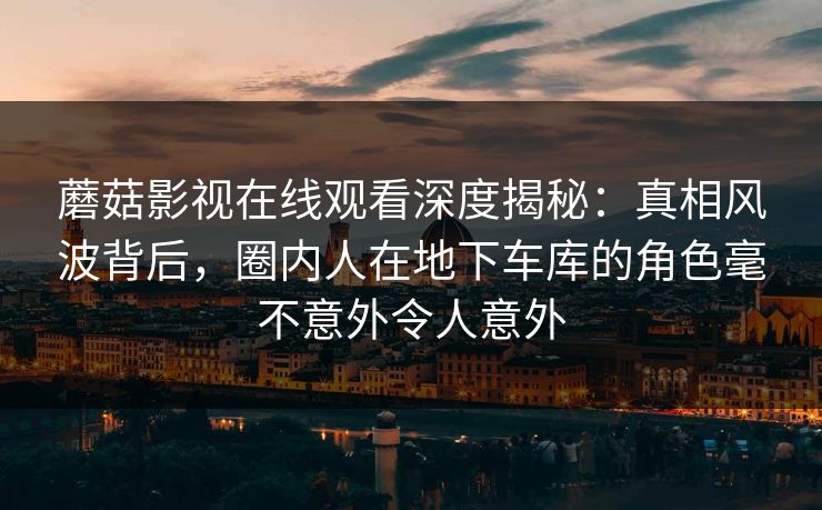 蘑菇影视在线观看深度揭秘：真相风波背后，圈内人在地下车库的角色毫不意外令人意外